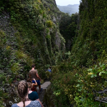 Hiking on Great Barrier Island